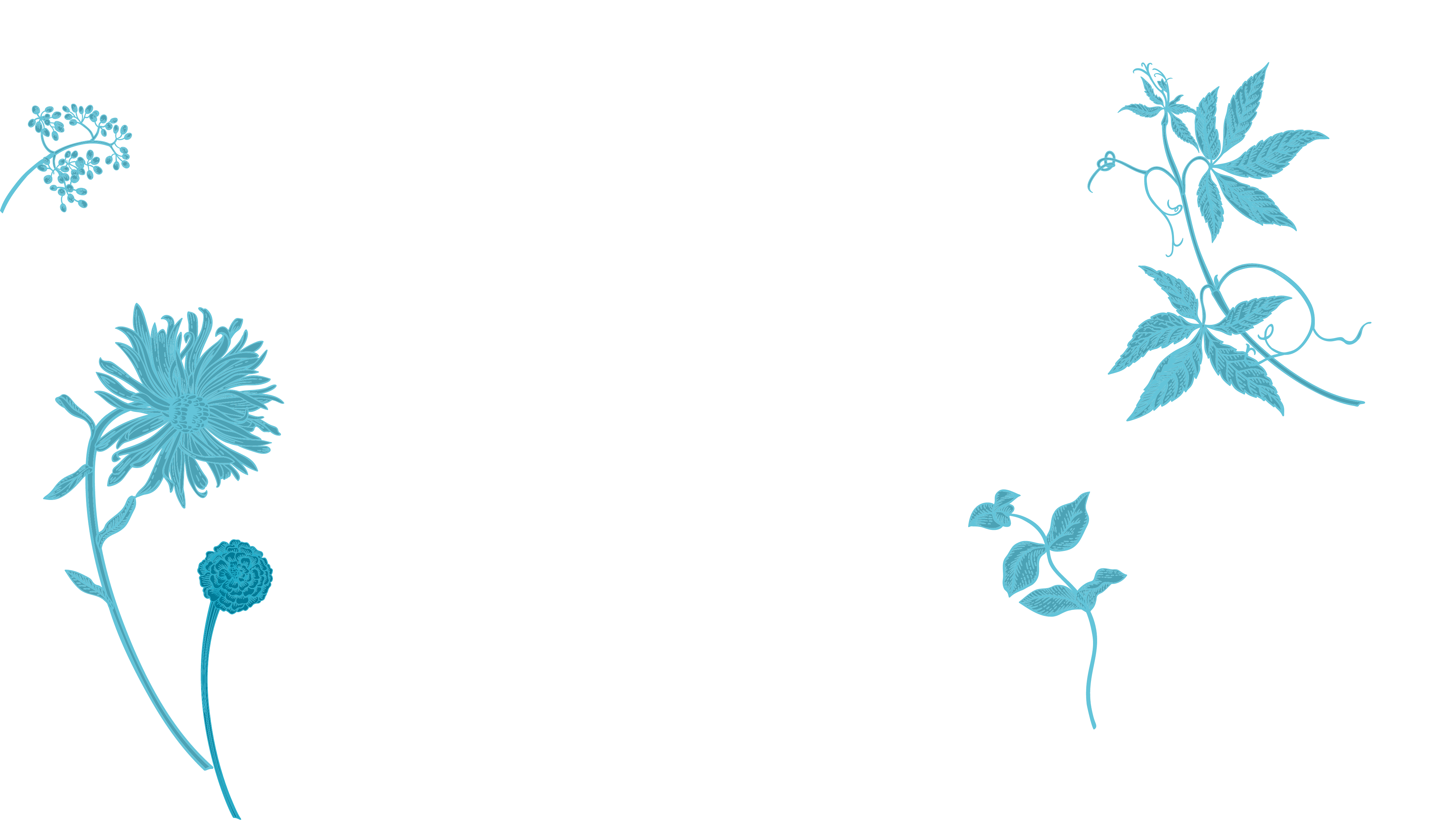 Acquigny background menu